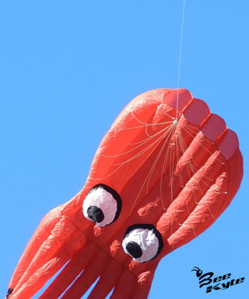 Bee-Kite Octopuss - Aquilone Parafoil