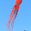Bee-Kite Octopuss - Aquilone Parafoil