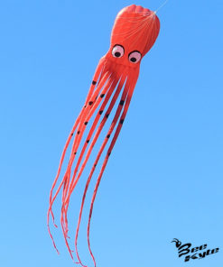 Bee-Kite Octopuss - Aquilone Parafoil